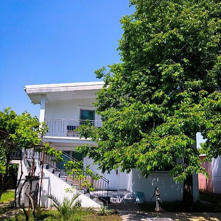 Renata Holiday Apartments 울친 외부 사진