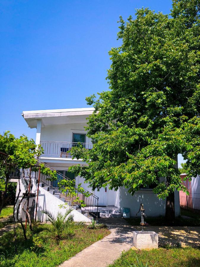 Renata Holiday Apartments 울친 외부 사진
