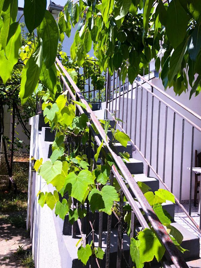 Renata Holiday Apartments 울친 외부 사진
